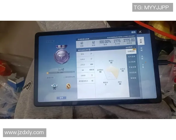 聚焦和平精英战术解析：WE战队的策略与团队协作探讨